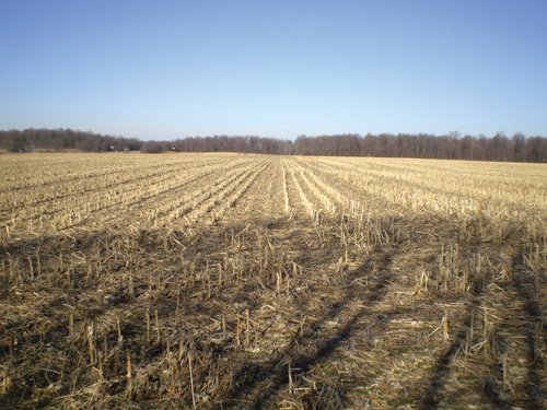 Property photo 20 - 159 Acres Offered in 7 Tracts